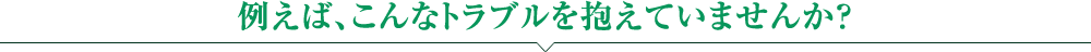 例えば、こんなトラブルを抱えていませんか？